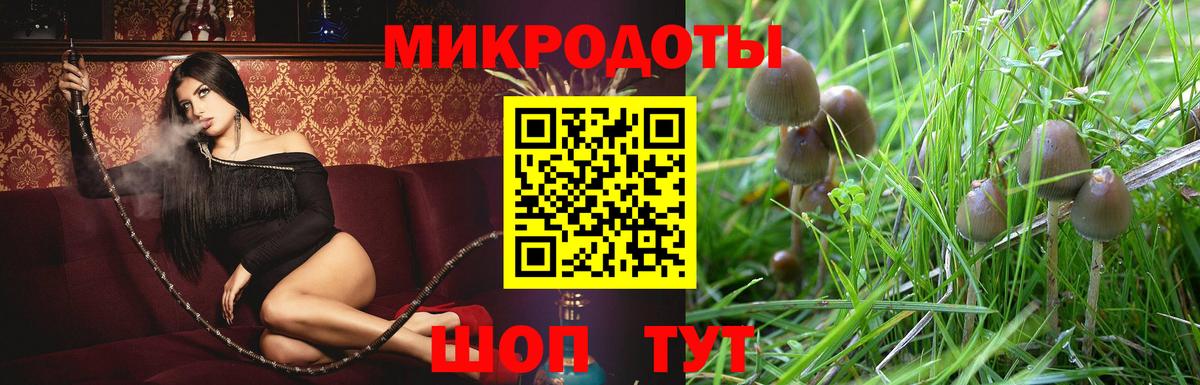 Галлюциногенные грибы GOLDEN TEACHER Великий Устюг